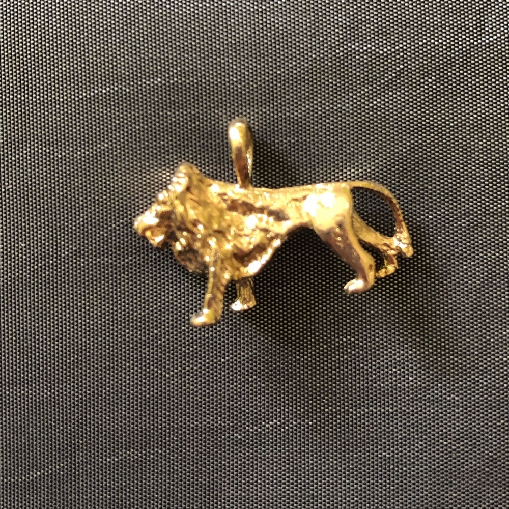 ✨Beautiful lion golden charm✨